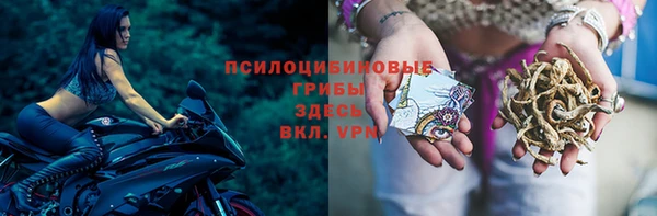 2c-b Богородск