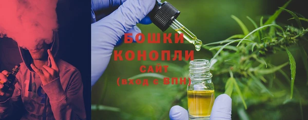 таблы Богородицк